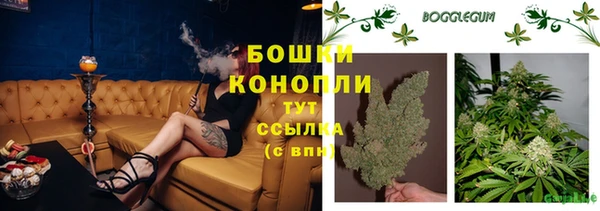 индика Богородицк